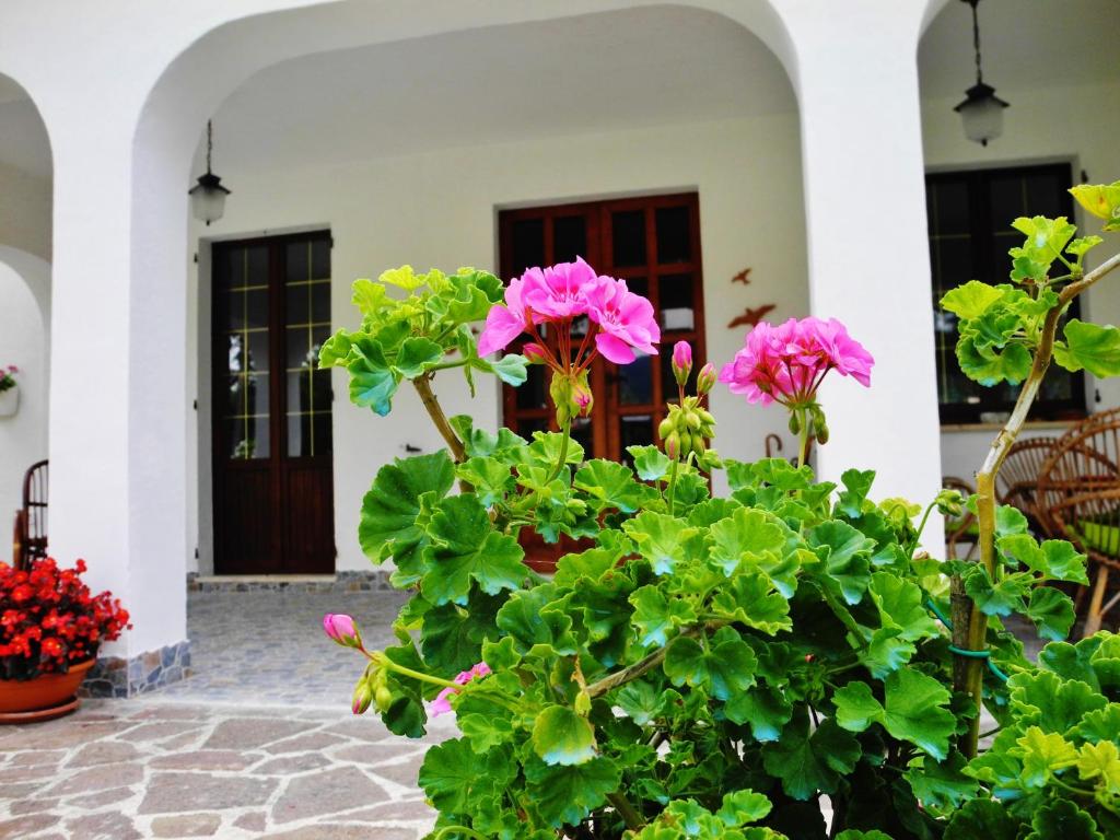 B&B Villa Incrocca room 1